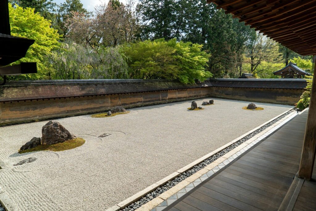 gray wooden pathway near green trees during daytime